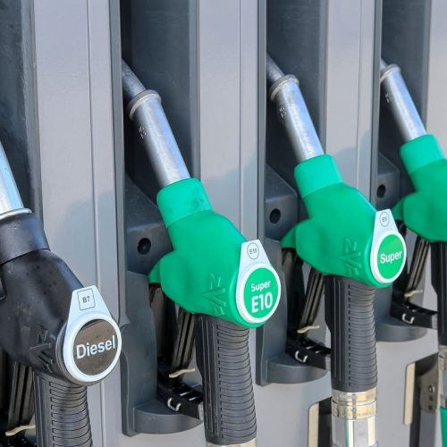 sediba-project-management-cc