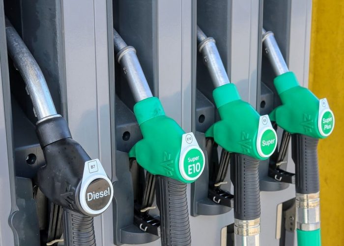 sediba-project-management-cc